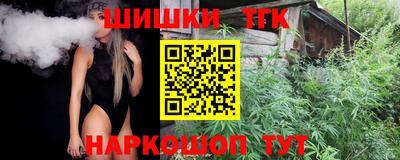 стаф Донецк
