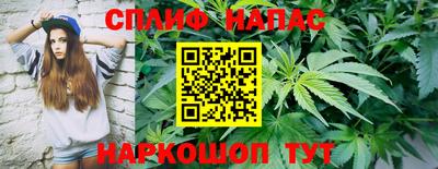 стаф Донецк