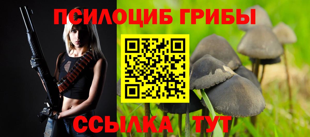 Псилоцибиновые грибы прущие грибы  купить закладку  Псилоцибиновые грибы прущие грибы  Нарткала  Вход с VPN 